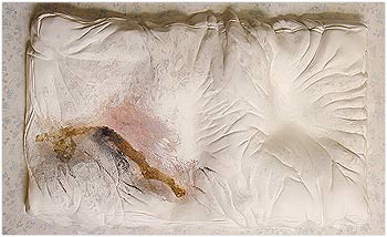 campos de batalla :: 2