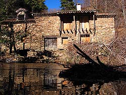 2 de enero ... resaca en el campo